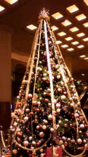 [NV~}X